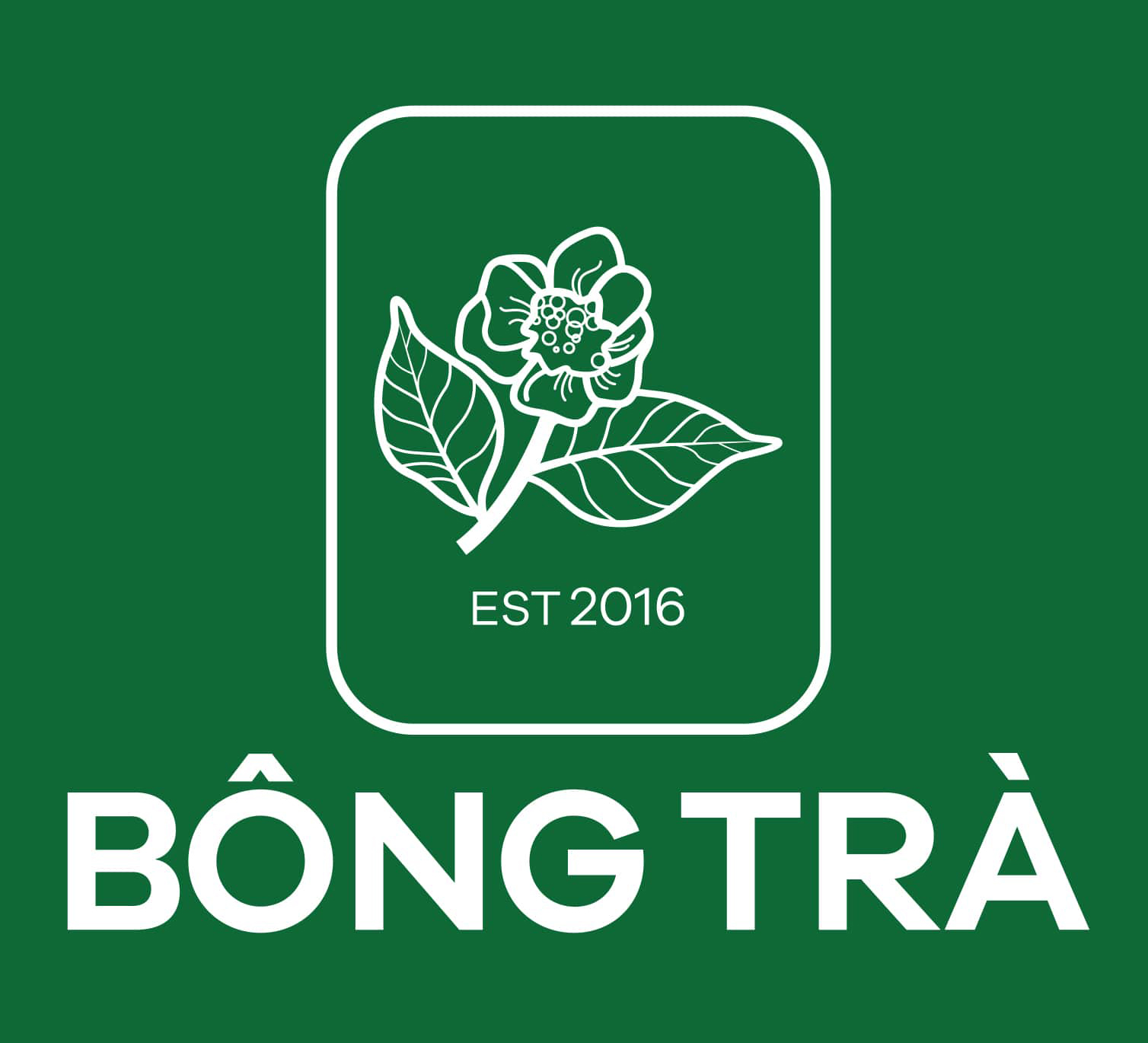 B&ocirc;ng Tr&agrave;